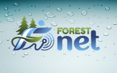 Как зарегистрироваться в ЛК на сайте ForestNet