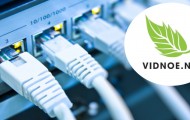 Личный кабинет Vidnoe.NET: оформление заявки на подключение услуг, вход в аккаунт