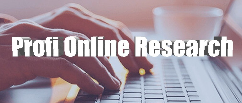 Profi Online Research